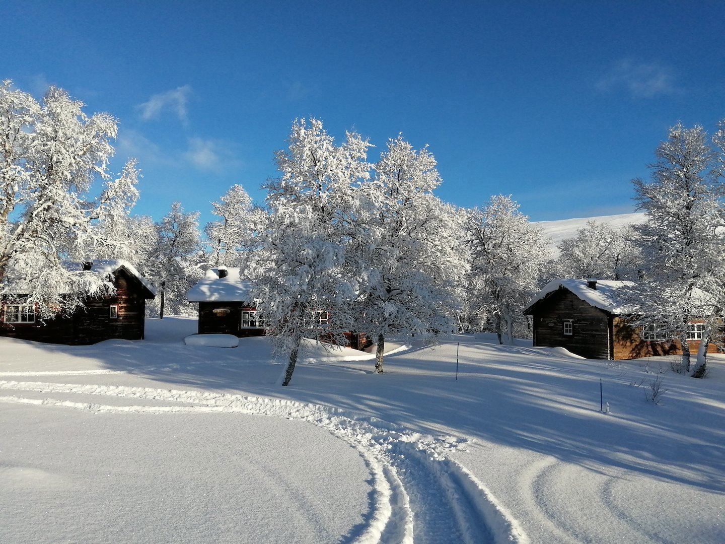 Fjällhornet Resort 