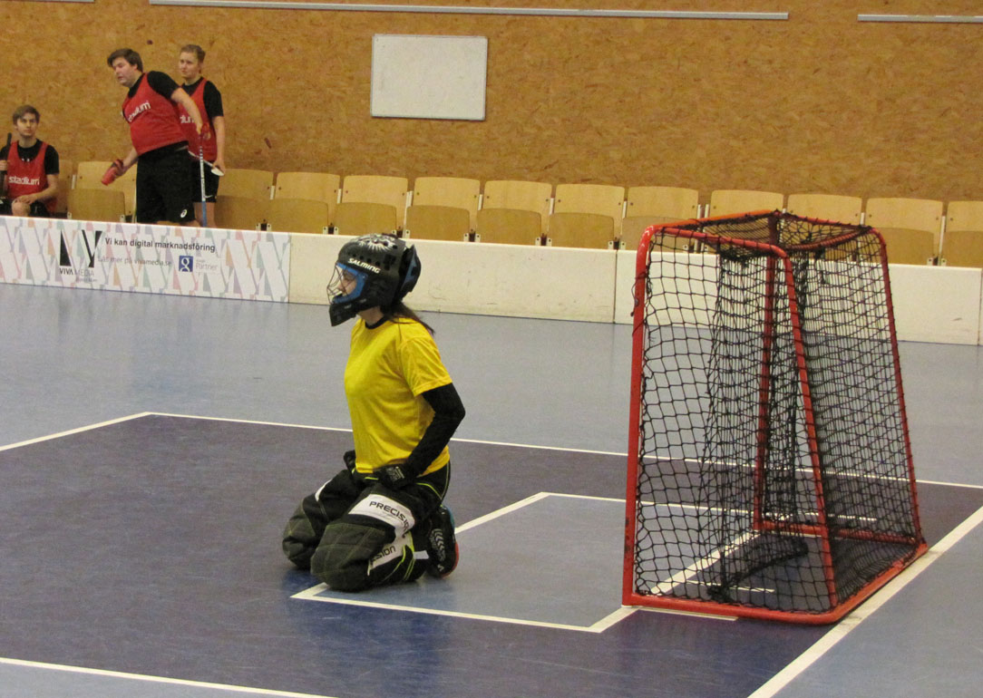 PIF PM i innebandy 2015