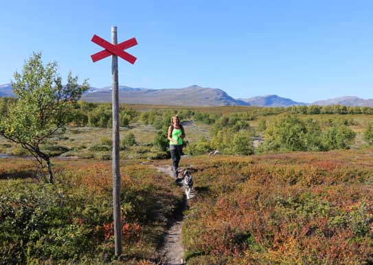 STF Fjällhornet Resort