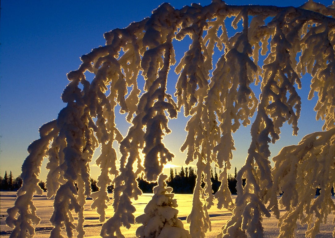 Vinter i härliga Härjedalen