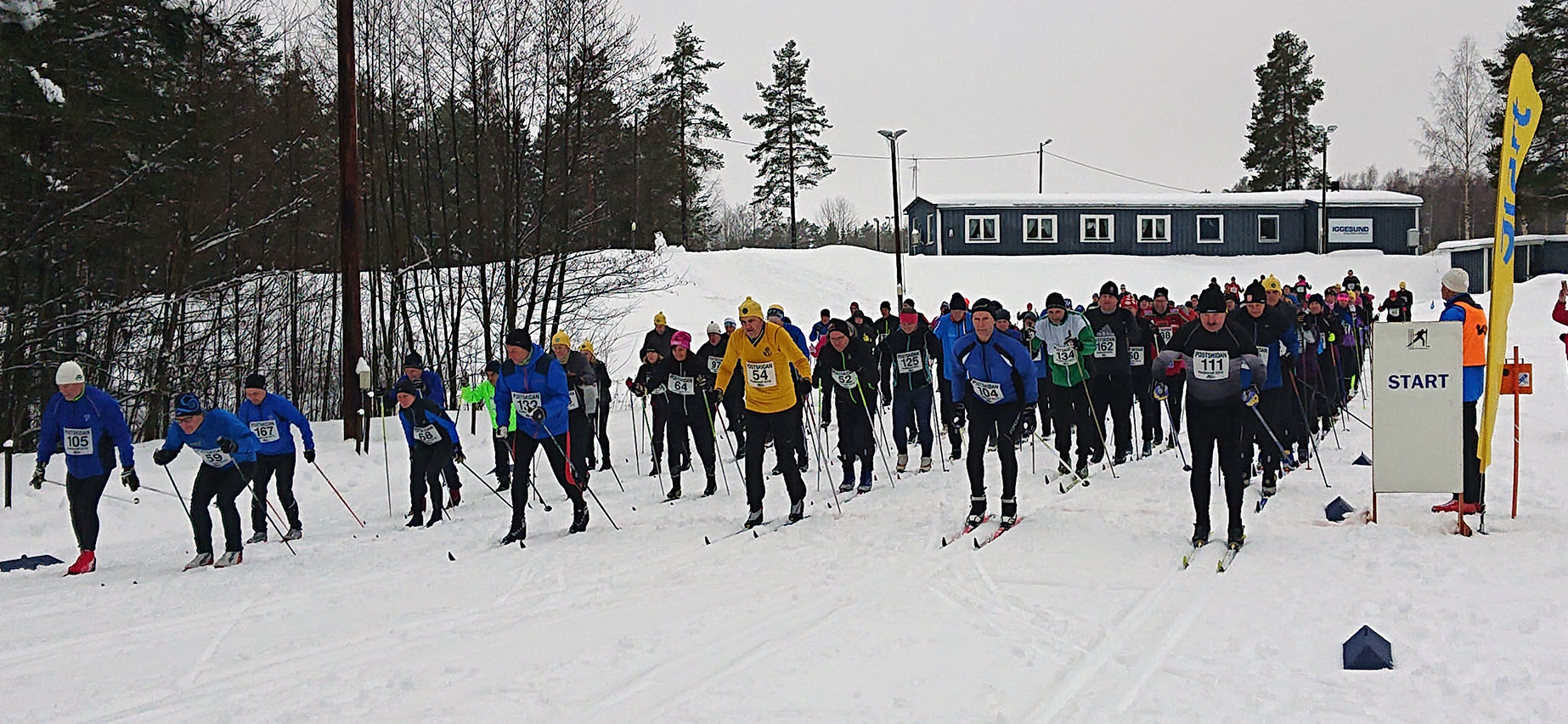 Postskidan 2019